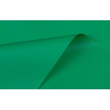 LEITOSO VERDE BANDEIRA