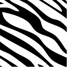 CONTACT ZEBRA