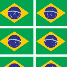 TNT ESTAMPADO BANDEIRA DO BRASIL PEQUENA 516B